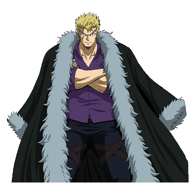 Veste Luxus Fairy Tail