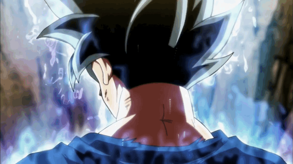 Tableau Dragon Ball Super Toile Cadre