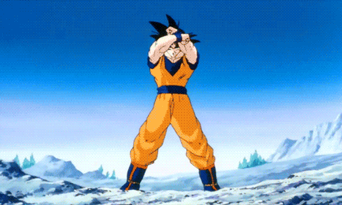 Cadre DBZ Toile Tableau
