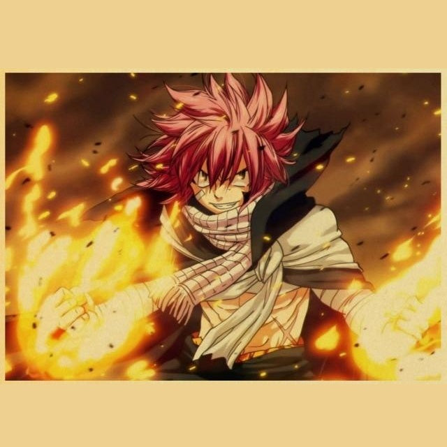 Poster Natsu Dragnir