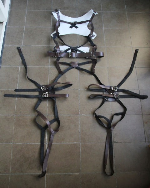 Attacco su Titano Imbracatura Cosplay
