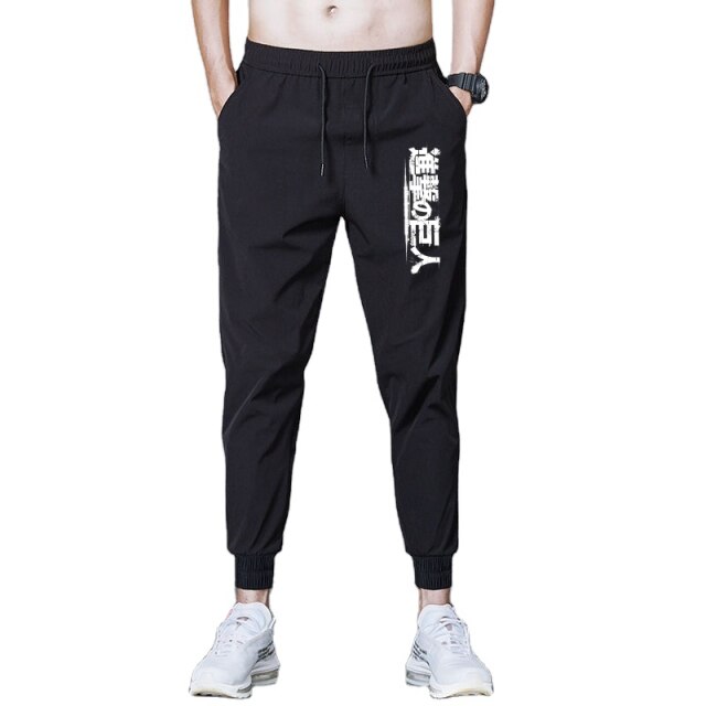 Pantalon Shingeki no Kyojin